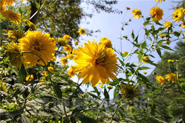 蘭州博物館設(shè)計策劃