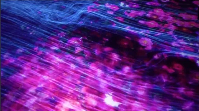 花與瀑布的沉浸式世界 花與瀑布的沉浸式世界