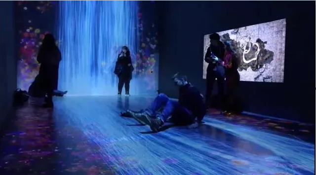 花與瀑布的沉浸式世界 花與瀑布的沉浸式世界