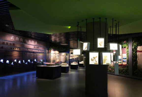 解析武功山地質博物館設計元素 解析武功山地質博物館設計元素