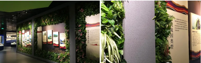 解析武功山地質博物館設計元素 解析武功山地質博物館設計元素